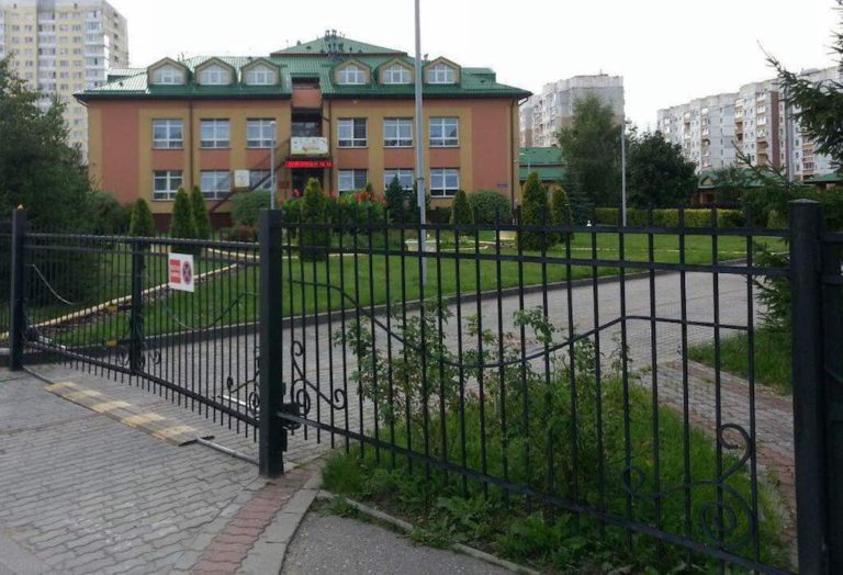 Побег детей из детсада и поимка тайного агента ПДД