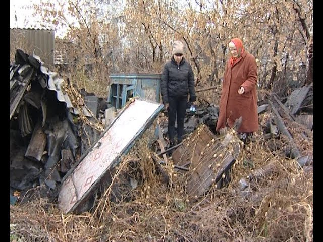 Омикс. Городские новости, 1 ноября 2018 г