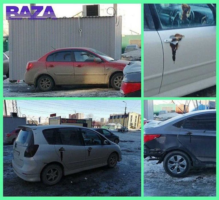 «Фекальный маньяк» наказывает автохамов