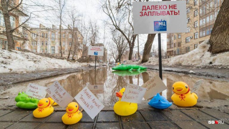 Уточки прилетели. Флешмоб с намеком на неубранный снег