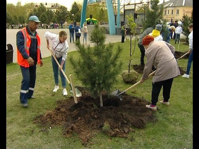 Омикс. Городские новости, 20 мая 2019 г