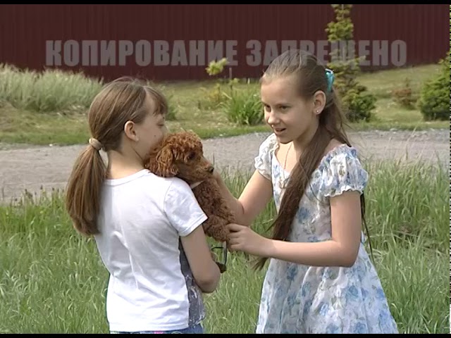 Омикс. Городские новости, 5 июня 2019 г