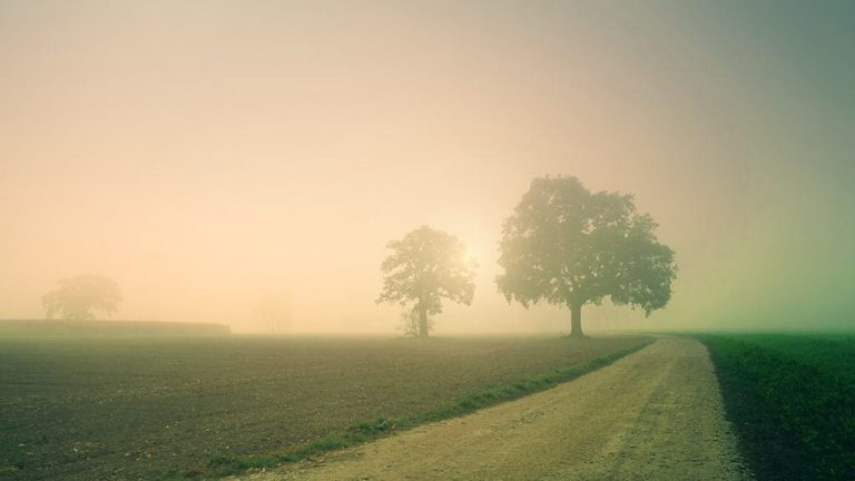 Дым от лесных пожаров может снова накрыть Кузбасс