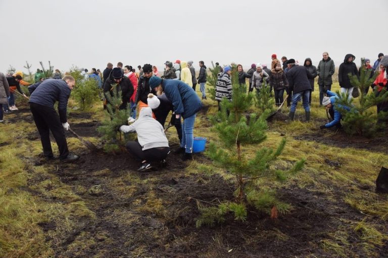 Акция «Живи, лес» прошла в Белове