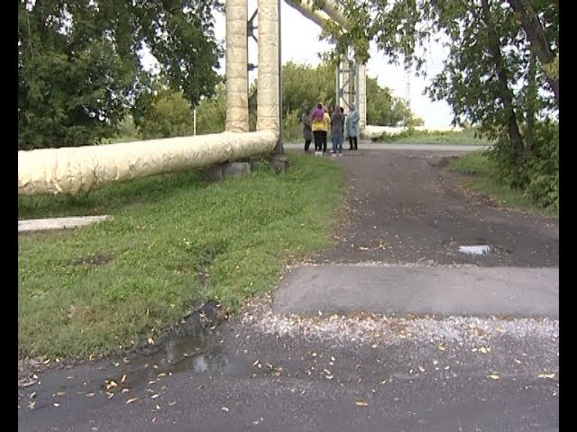 Омикс. Городские новости, 17 сентября 2019 г