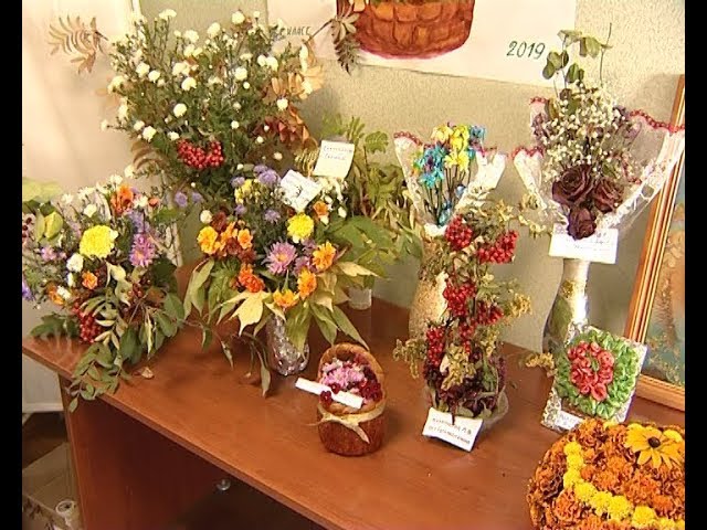 Омикс. Городские новости, 26 сентября 2019 г